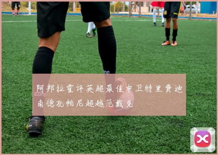 阿邦拉霍评英超最佳中卫特里费迪南德孔帕尼超越范戴克